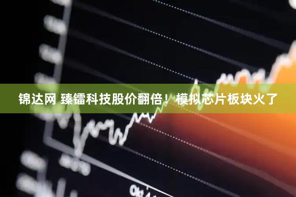锦达网 臻镭科技股价翻倍！模拟芯片板块火了