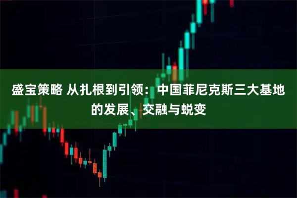 盛宝策略 从扎根到引领：中国菲尼克斯三大基地的发展、交融与蜕变