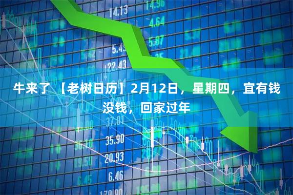牛来了 【老树日历】2月12日，星期四，宜有钱没钱，回家过年