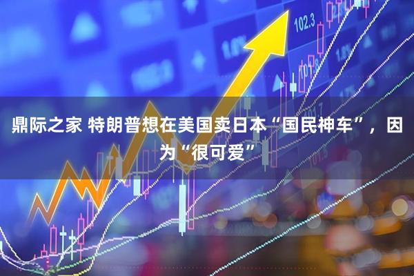 鼎际之家 特朗普想在美国卖日本“国民神车”，因为“很可爱”